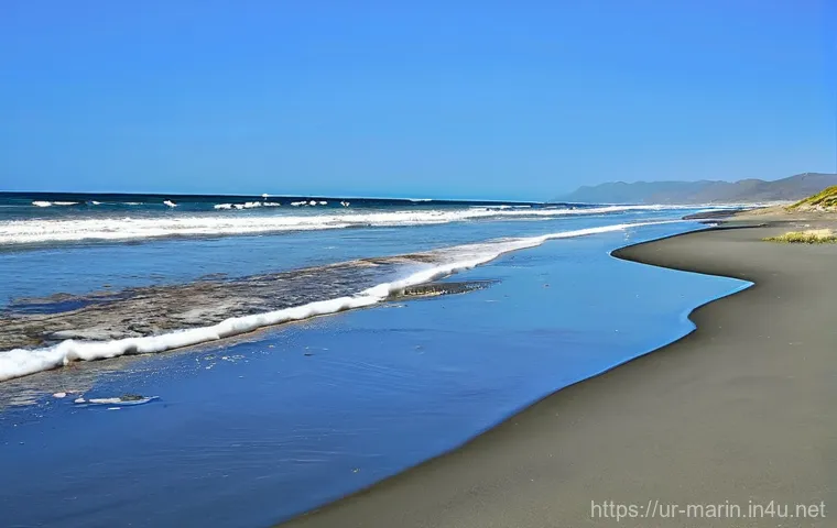 해양 경제학 기초 - **Prompt 2: Innovative Marine Renewable Energy Farm off Pakistan's Coast**
    An inspiring aerial v...