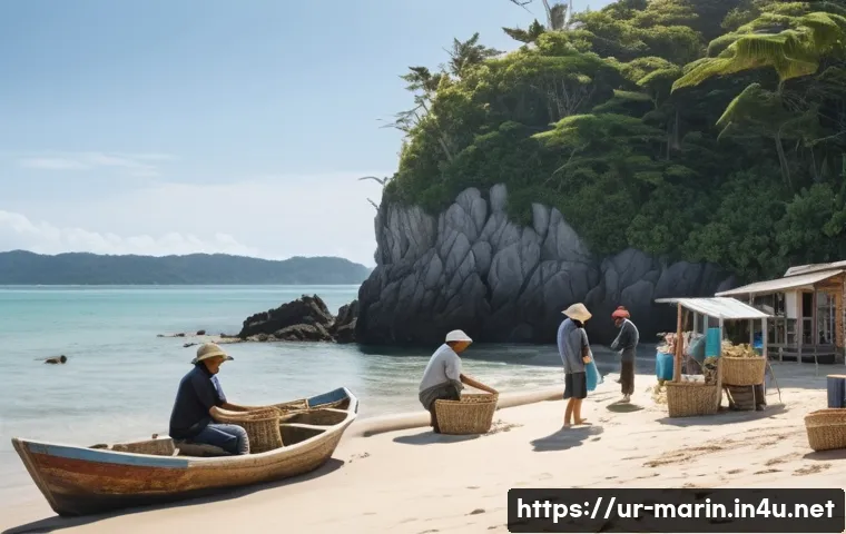 해양 관리 시스템 관련 이미지 2